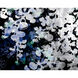 Floral Fantasy Charcoal Luxe Art, Set Of 2